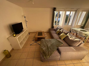 Charmant appartement convivial